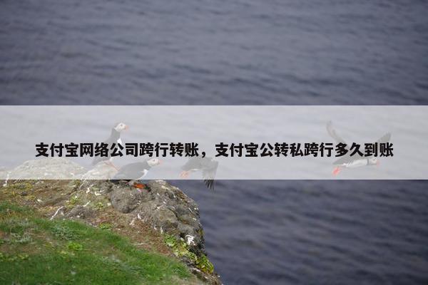 支付宝网络公司跨行转账，支付宝公转私跨行多久到账