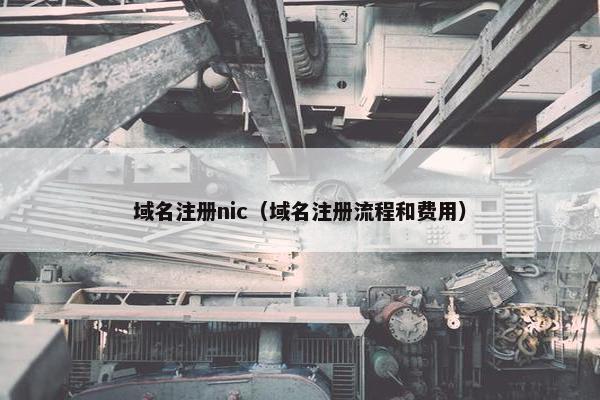 域名注册nic（域名注册流程和费用）