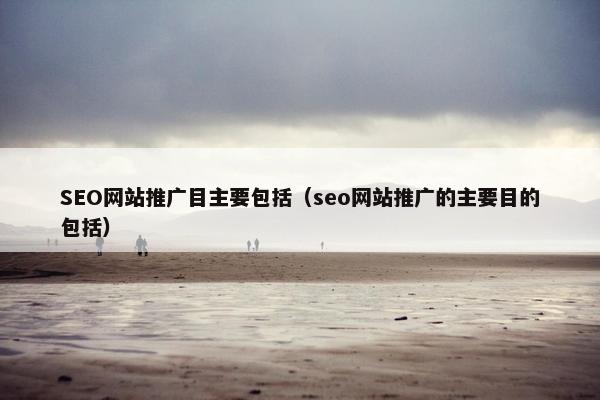 SEO网站推广目主要包括（seo网站推广的主要目的包括）