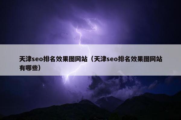 天津seo排名效果图网站（天津seo排名效果图网站有哪些）