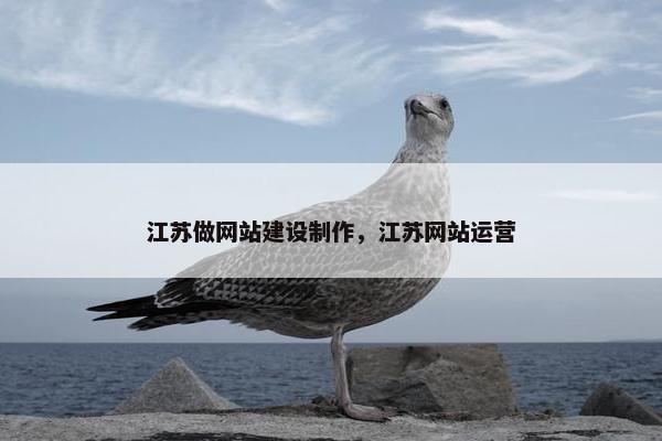 江苏做网站建设制作，江苏网站运营