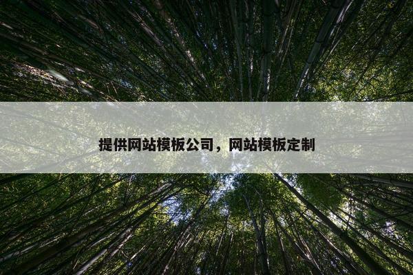 提供网站模板公司，网站模板定制