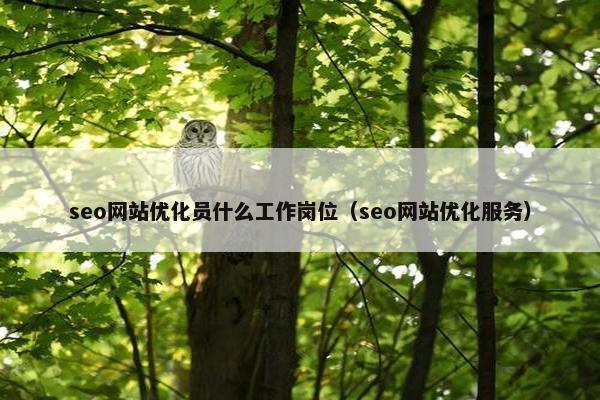 seo网站优化员什么工作岗位（seo网站优化服务）