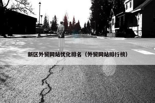 新区外贸网站优化排名（外贸网站排行榜）