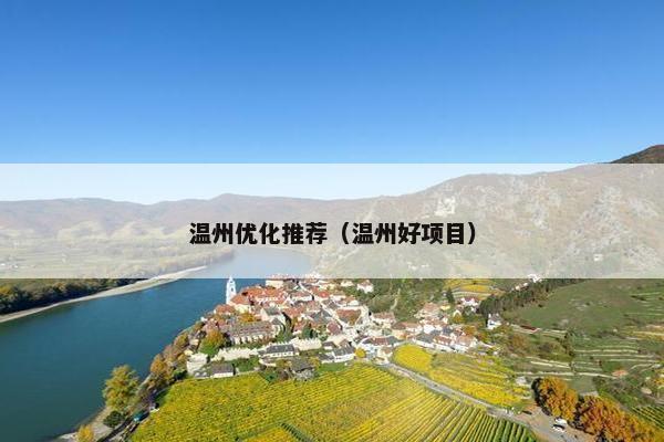 温州优化推荐（温州好项目）