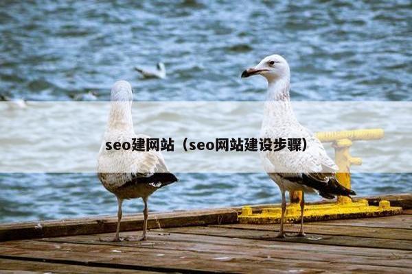 seo建网站（seo网站建设步骤）