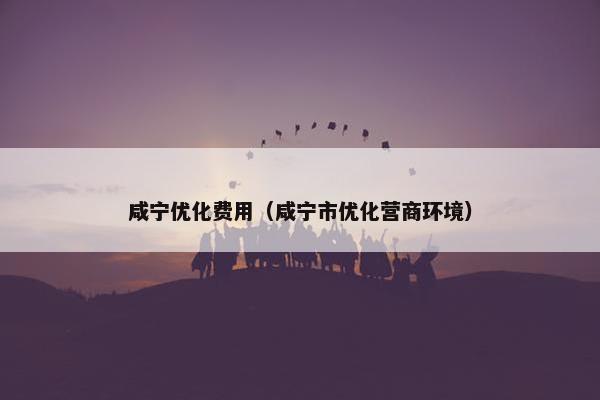 咸宁优化费用（咸宁市优化营商环境）