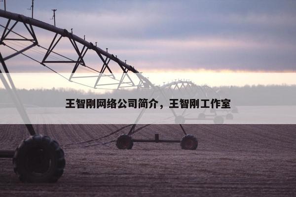王智刚网络公司简介，王智刚工作室