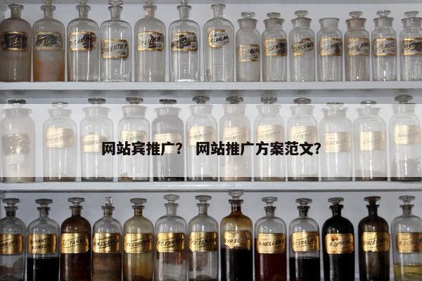 网站宾推广？ 网站推广方案范文？