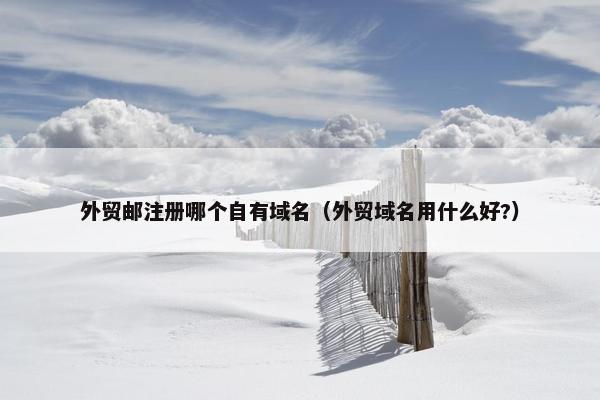 外贸邮注册哪个自有域名（外贸域名用什么好?）
