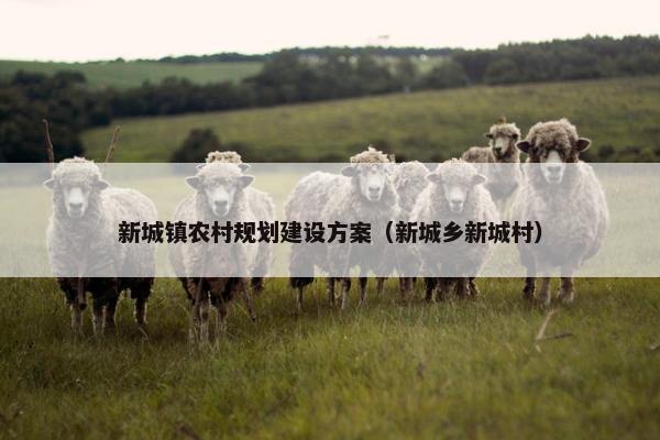新城镇农村规划建设方案（新城乡新城村）