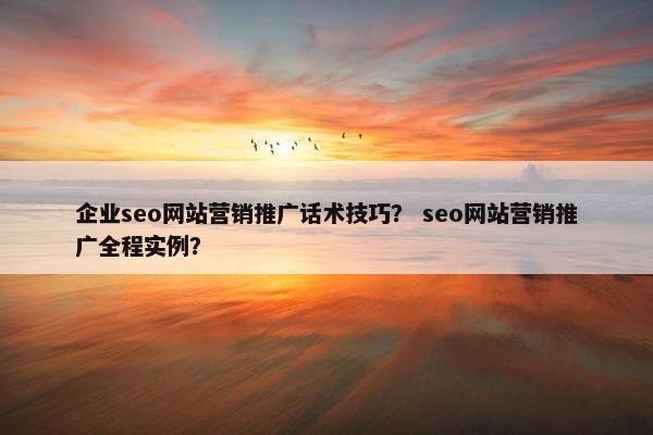 企业seo网站营销推广话术技巧？ seo网站营销推广全程实例？