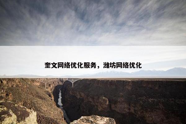 奎文网络优化服务，潍坊网络优化