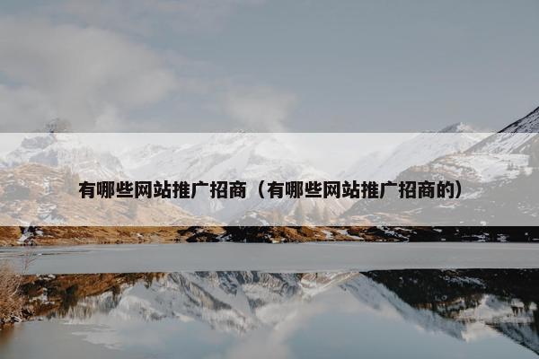 有哪些网站推广招商（有哪些网站推广招商的）