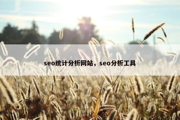 seo统计分析网站，seo分析工具