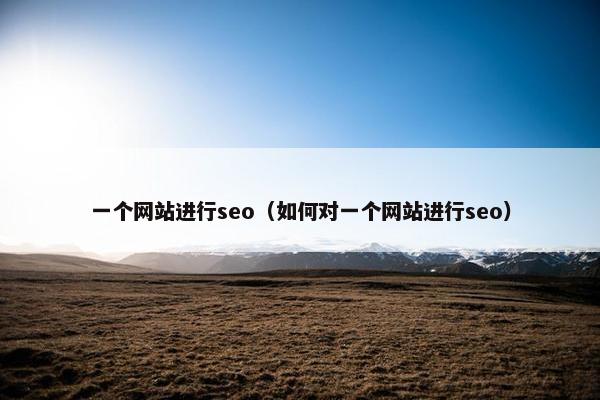 一个网站进行seo（如何对一个网站进行seo）