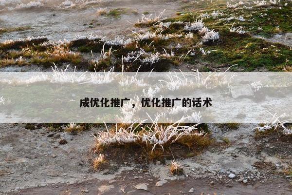 成优化推广，优化推广的话术