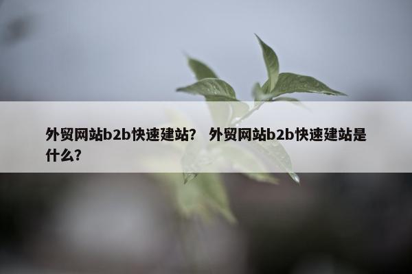 外贸网站b2b快速建站？ 外贸网站b2b快速建站是什么？