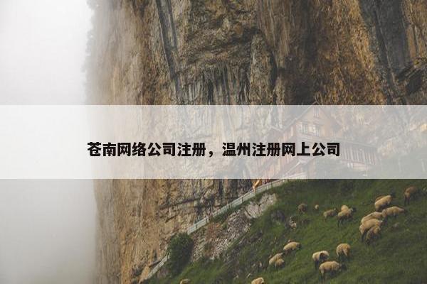 苍南网络公司注册，温州注册网上公司