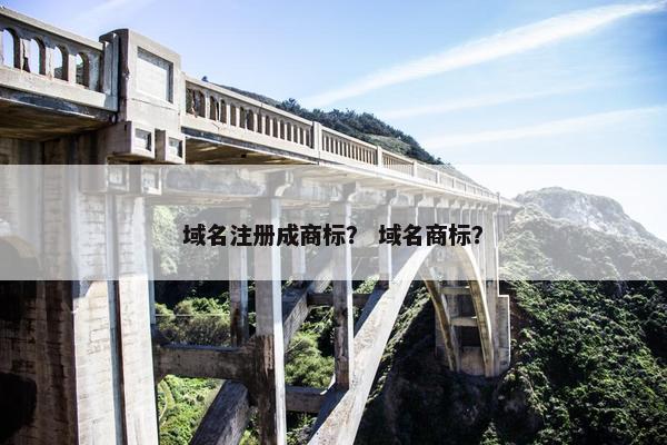 域名注册成商标？ 域名商标？