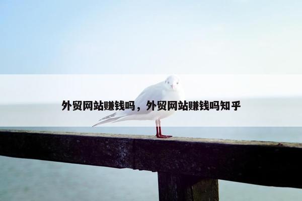 外贸网站赚钱吗，外贸网站赚钱吗知乎