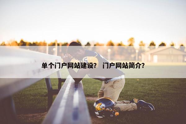 单个门户网站建设？ 门户网站简介？