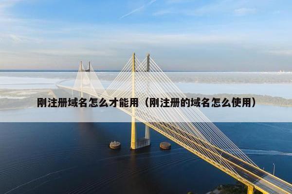 刚注册域名怎么才能用（刚注册的域名怎么使用）