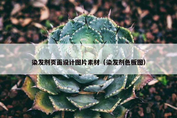 染发剂页面设计图片素材（染发剂色板图）