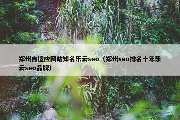 郑州自适应网站知名乐云seo（郑州seo排名十年乐云seo品牌）