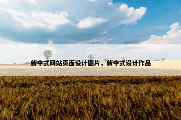 新中式网站页面设计图片，新中式设计作品