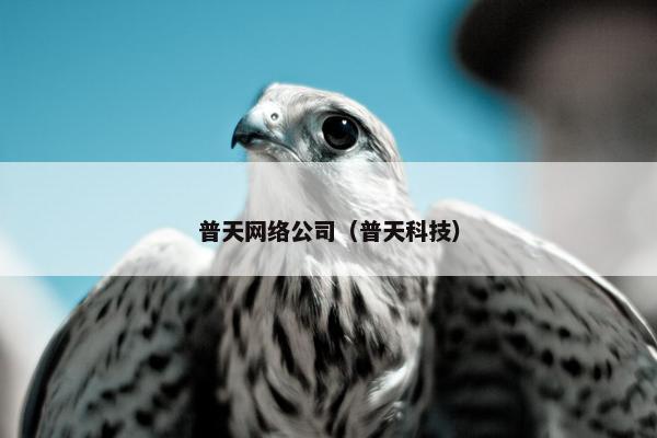 普天网络公司（普天科技）