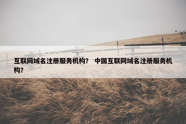 互联网域名注册服务机构？ 中国互联网域名注册服务机构？