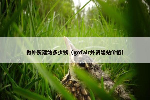 做外贸建站多少钱（gofair外贸建站价格）