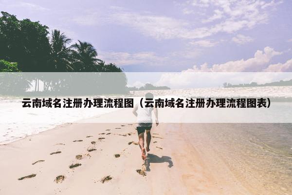 云南域名注册办理流程图（云南域名注册办理流程图表）