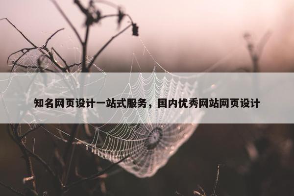 知名网页设计一站式服务，国内优秀网站网页设计