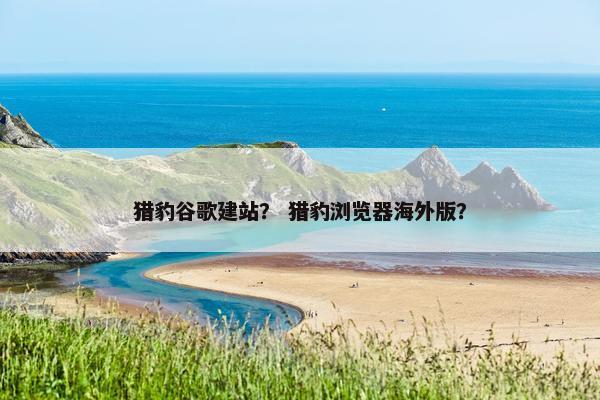 猎豹谷歌建站？ 猎豹浏览器海外版？