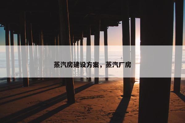 蒸汽房建设方案，蒸汽厂房