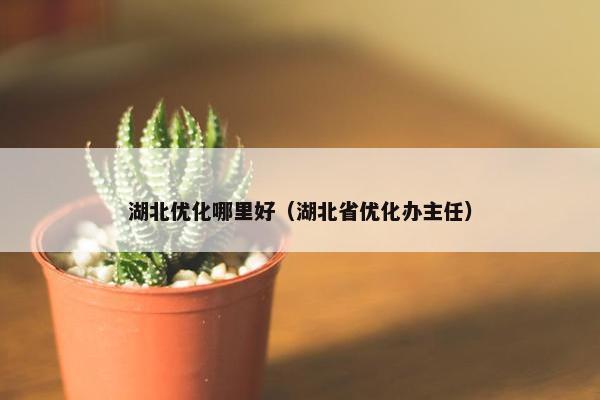 湖北优化哪里好（湖北省优化办主任）