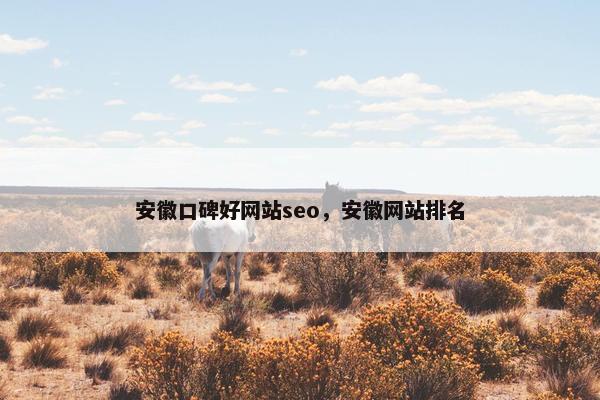 安徽口碑好网站seo，安徽网站排名