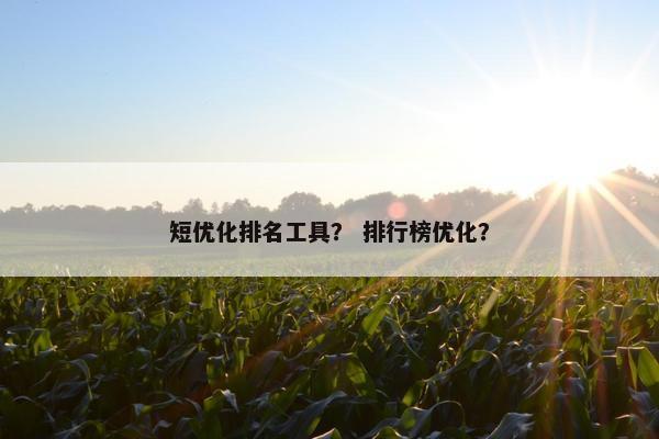 短优化排名工具？ 排行榜优化？