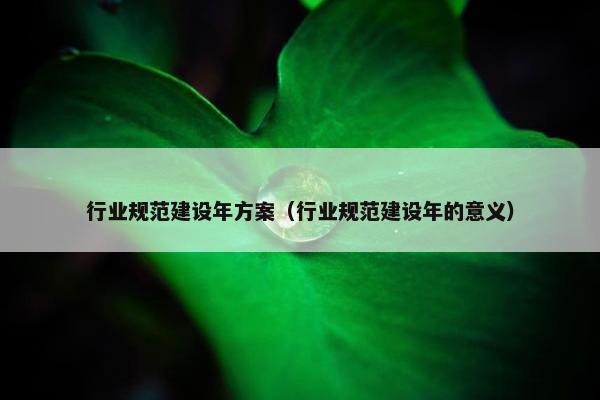 行业规范建设年方案（行业规范建设年的意义）