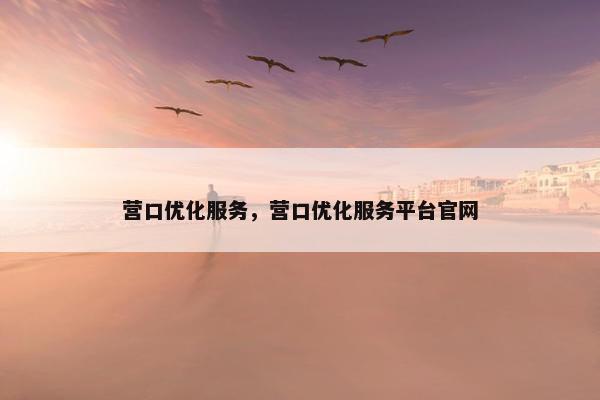 营口优化服务，营口优化服务平台官网