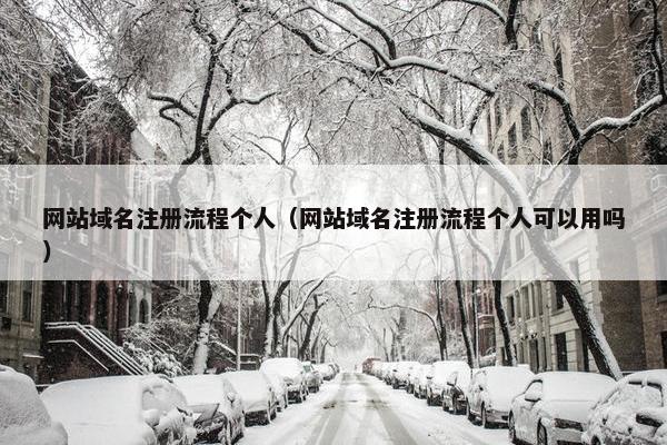 网站域名注册流程个人（网站域名注册流程个人可以用吗）
