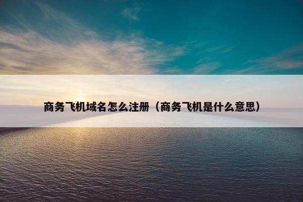 商务飞机域名怎么注册（商务飞机是什么意思）