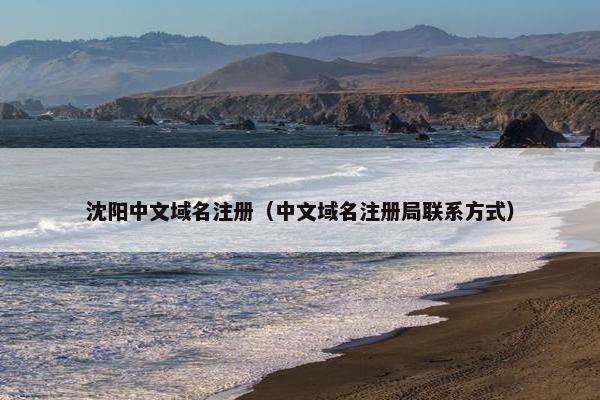 沈阳中文域名注册（中文域名注册局联系方式）