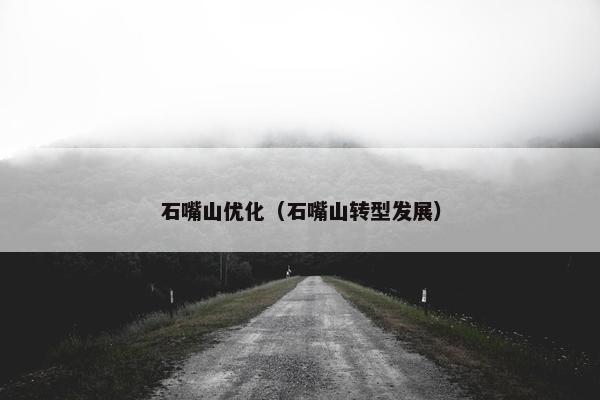 石嘴山优化（石嘴山转型发展）