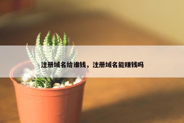 注册域名给谁钱，注册域名能赚钱吗