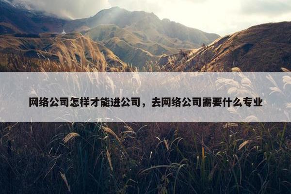 网络公司怎样才能进公司，去网络公司需要什么专业