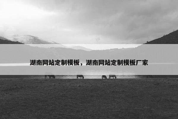 湖南网站定制模板，湖南网站定制模板厂家