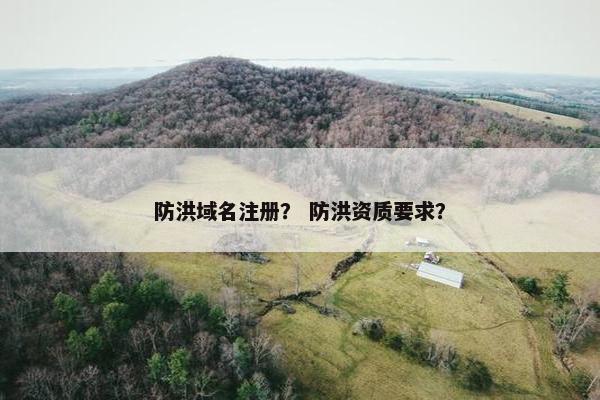防洪域名注册？ 防洪资质要求？